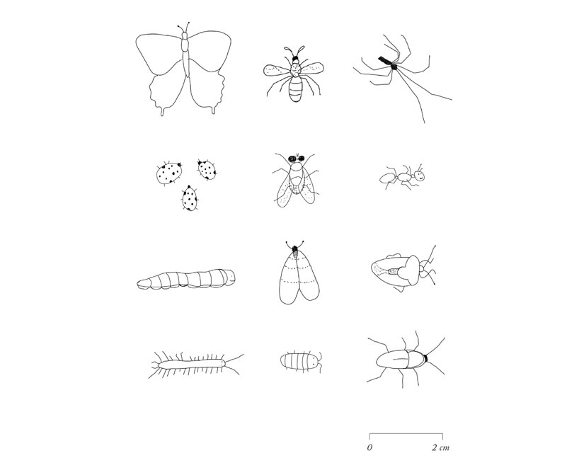 'lesser houses' are 3D printed habitats for the bugs and insects in your home