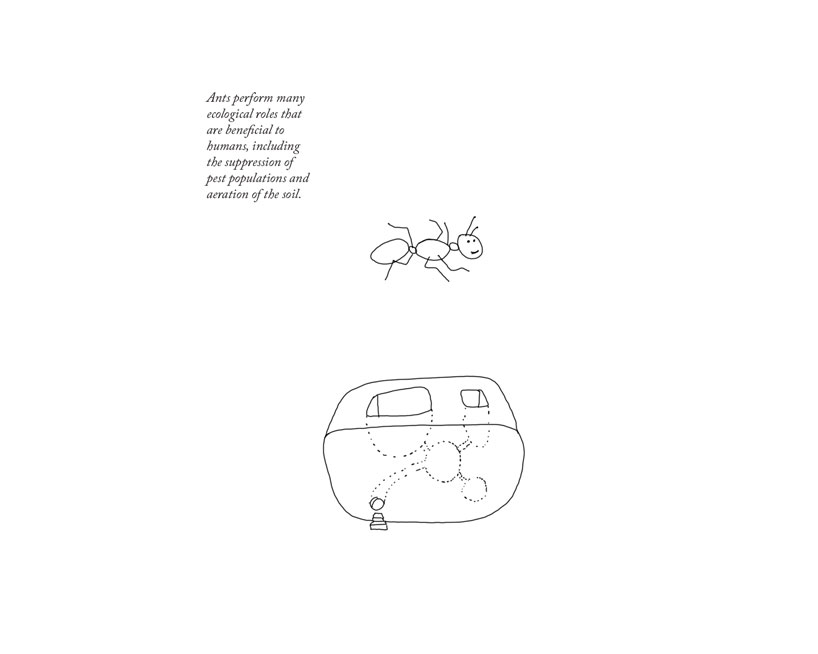 'lesser houses' are 3D printed habitats for the bugs and insects in your home