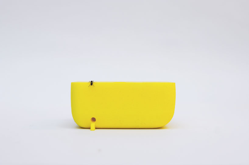 'lesser houses' are 3D printed habitats for the bugs and insects in your home