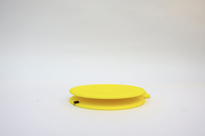 'lesser houses' are 3D printed habitats for the bugs and insects in your home