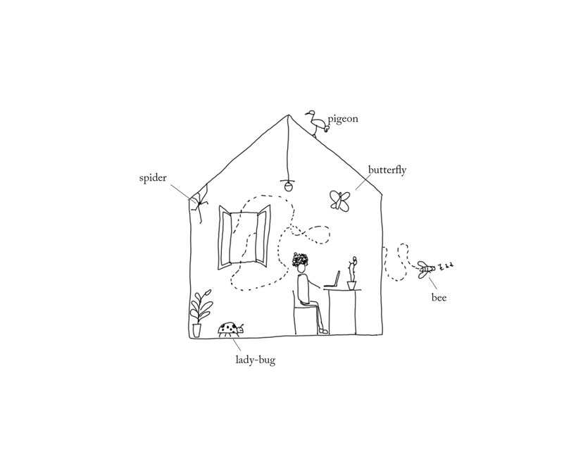 'lesser houses' are 3D printed habitats for the bugs and insects in your home