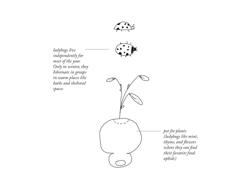 'lesser houses' are 3D printed habitats for the bugs and insects in your home