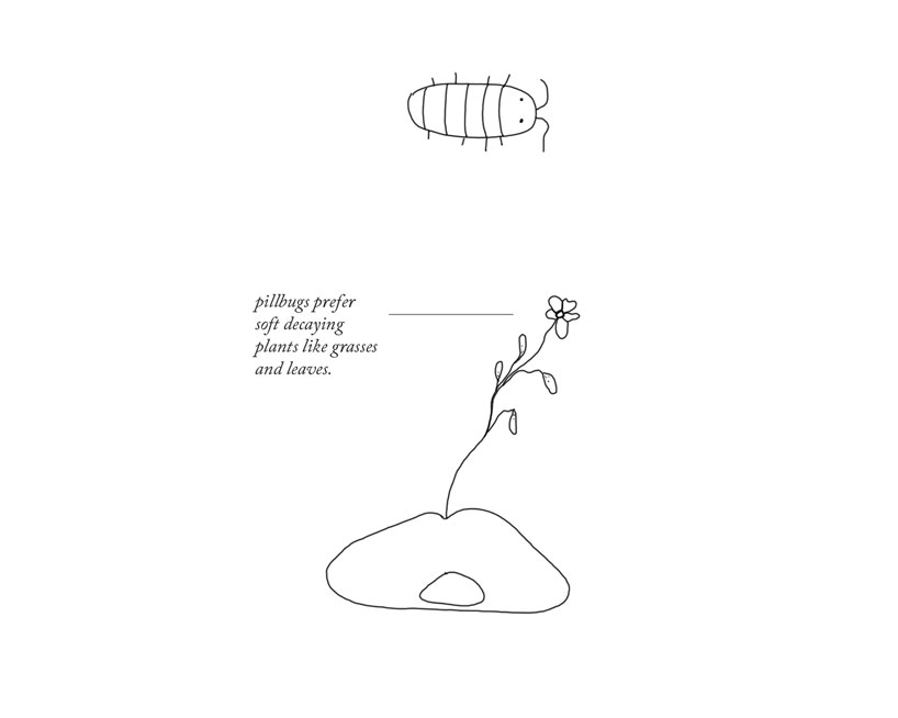 'lesser houses' are 3D printed habitats for the bugs and insects in your home