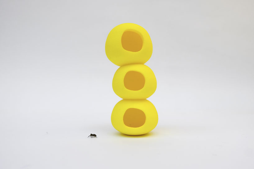 'lesser houses' are 3D printed habitats for the bugs and insects in your home