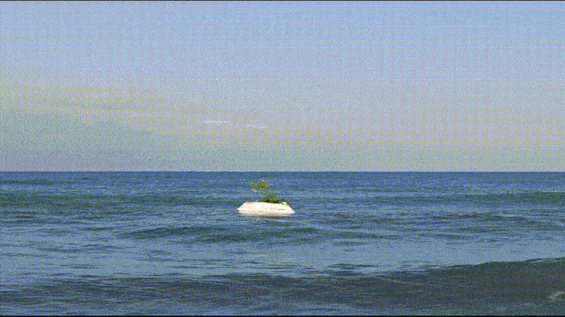 artificial biodegradable island cultivates marine life in the mediterranean sea