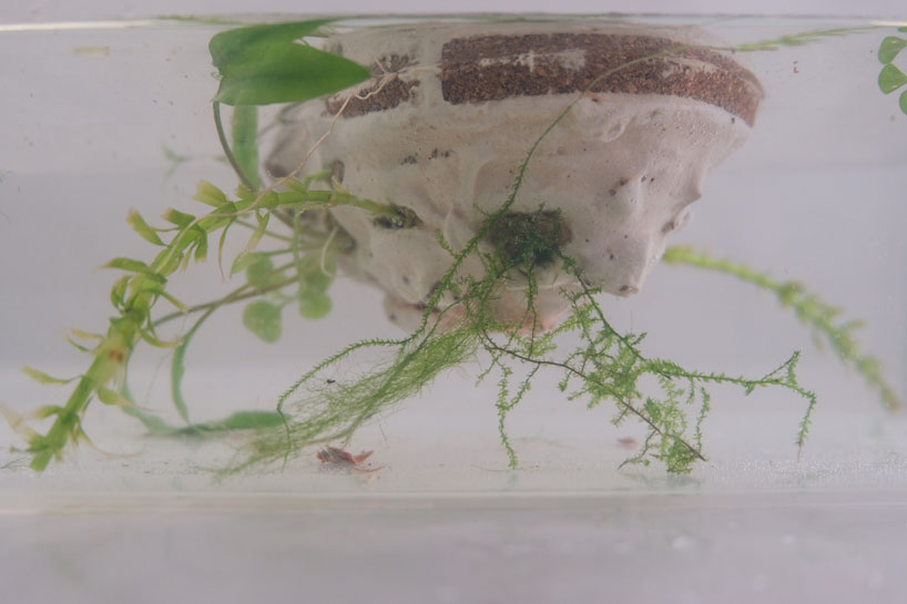 artificial biodegradable island cultivates marine life in the mediterranean sea
