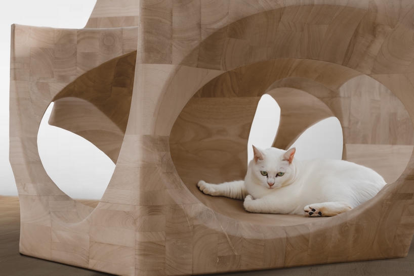 co habitable object 5