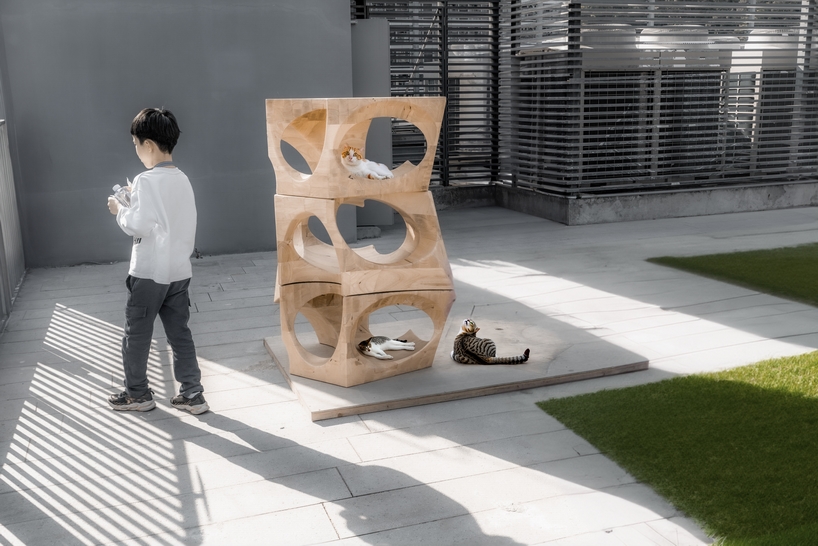 atelier alter architects' co-habitable object fosters human + animal coexistence