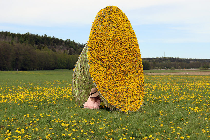 ulf mejergren crafts picnic dandelion hut from thousands of hand-picked flowers in swedish fields