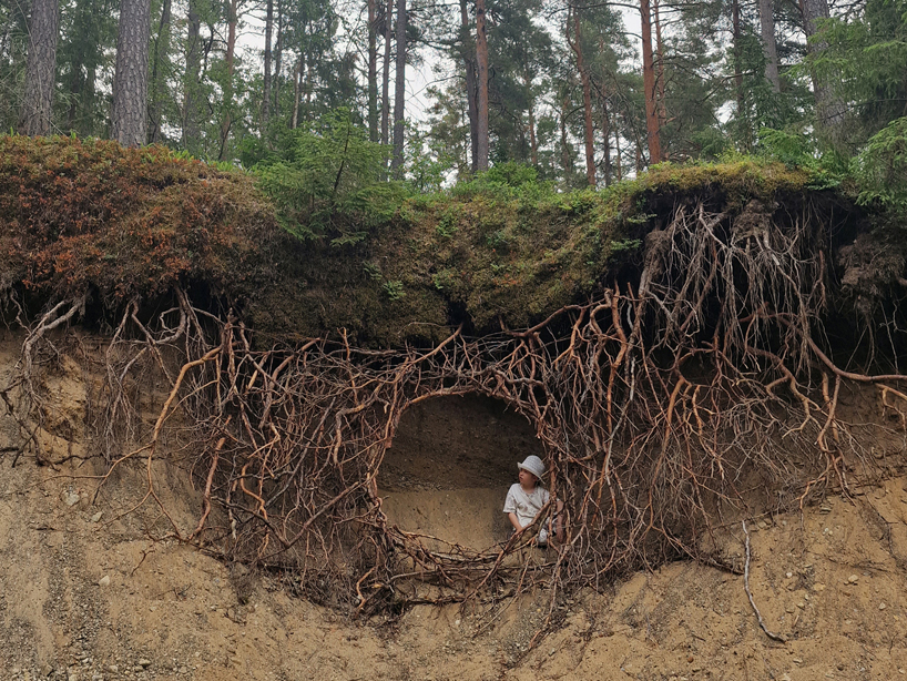 Ulf mejergren's sprawling root hut installation engulfs visitors in a curtain of branches and moss
