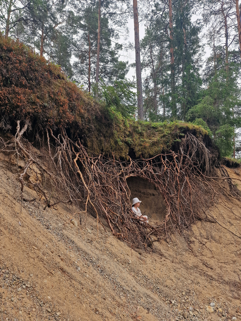 Ulf mejergren's sprawling root hut installation engulfs visitors in a curtain of branches and moss