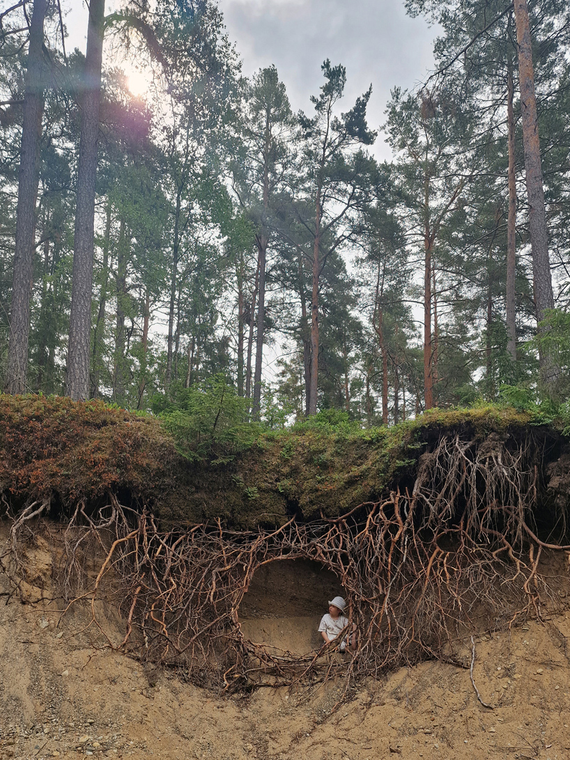 Ulf mejergren's sprawling root hut installation engulfs visitors in a curtain of branches and moss