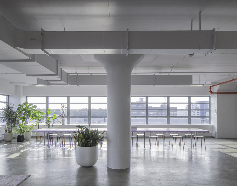inaba williams + kyle may create a pared-back interior for brooklyn office designboom