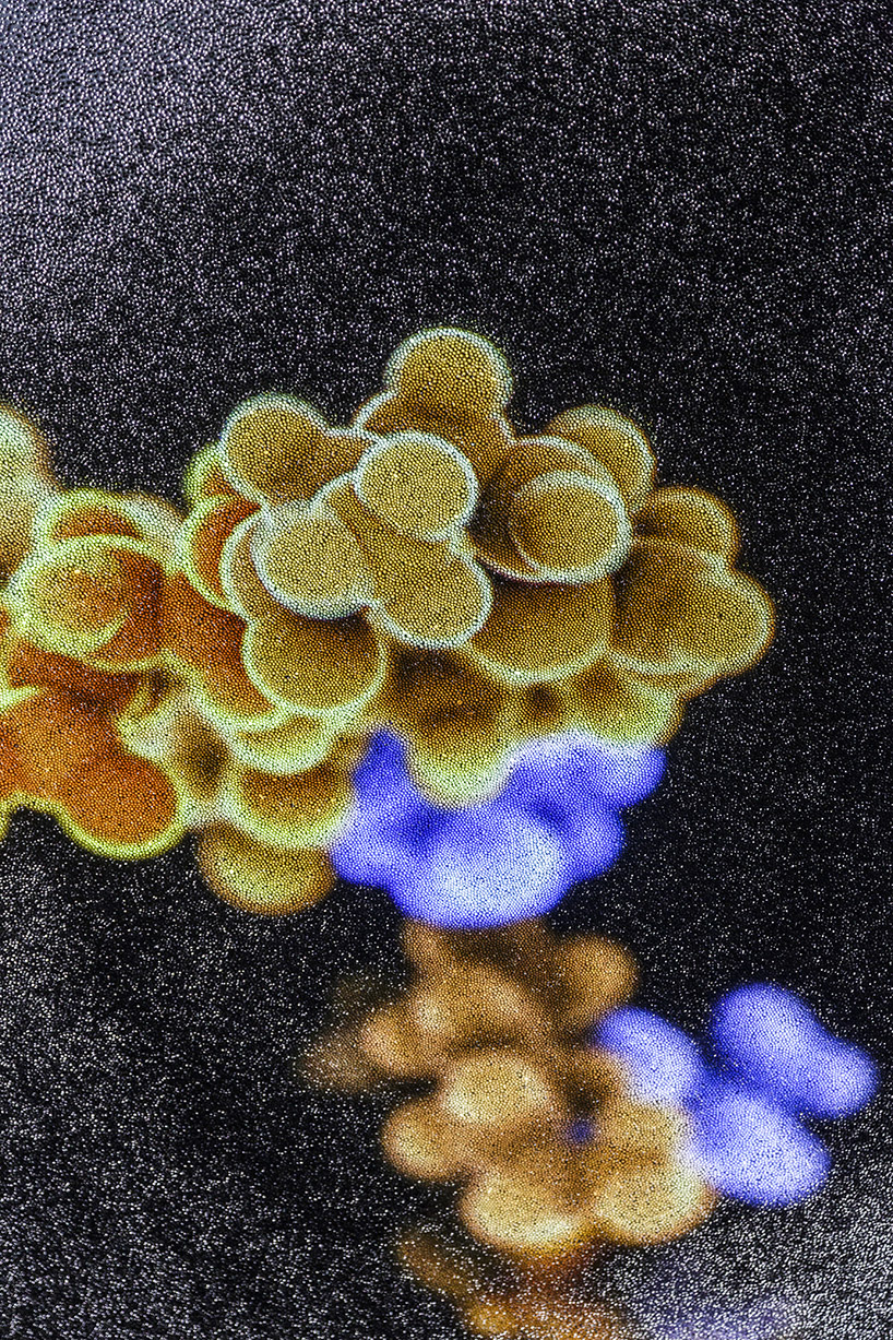 atom screen life in picoseconds exhibition le laboratoire designboom