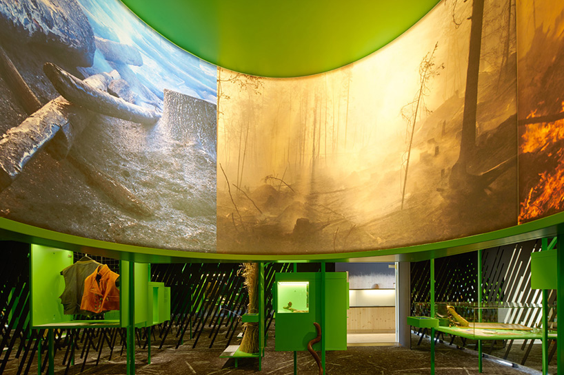 bornstein lyckefors architects slash-and-burn agriculture exhibit designboom