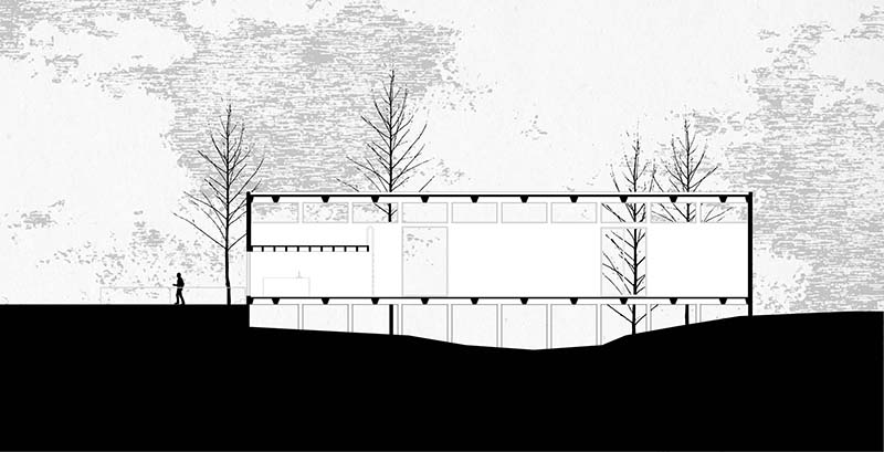 dellekamp arquitectos' waffle ceiling bounces light around this artist's studio in mexico