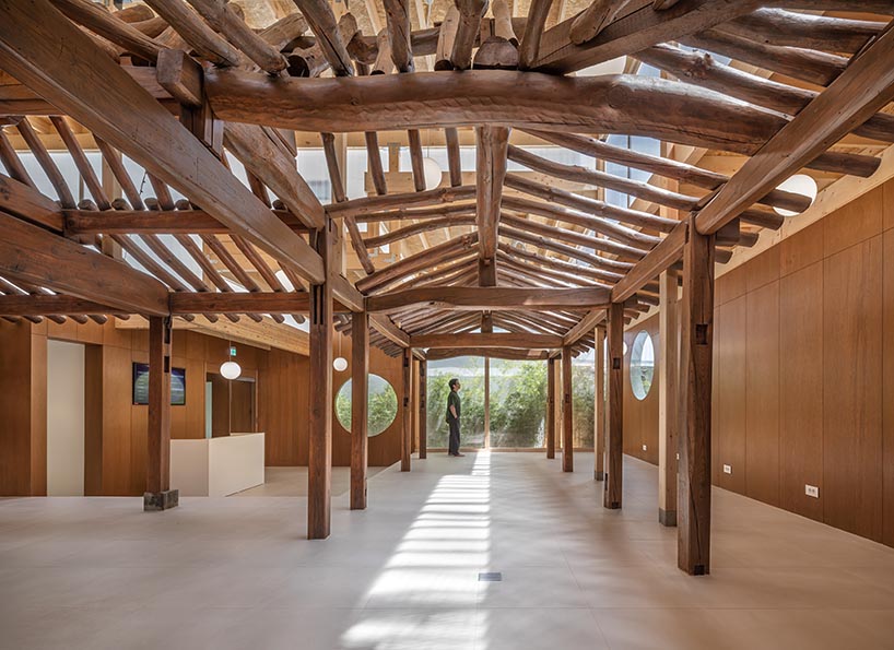 a strange coexistence found on the urban edge 10