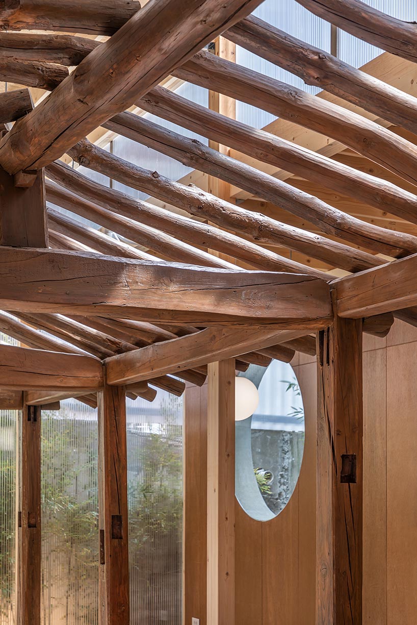 a strange coexistence found on the urban edge 11