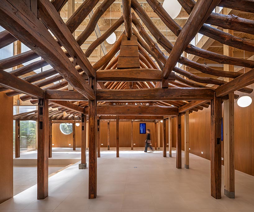 a strange coexistence found on the urban edge 7