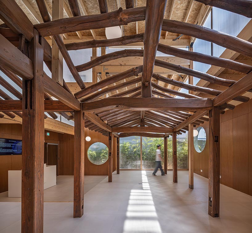 a strange coexistence found on the urban edge 8