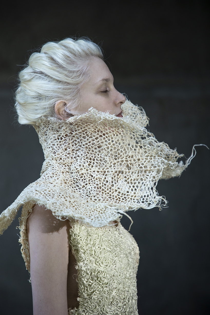 zena holloway launches a collection of bio design grown entirely from grass root 2