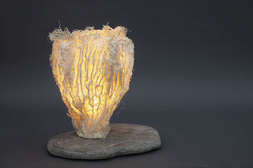 zena holloway launches a collection of bio design grown entirely from grass root 9