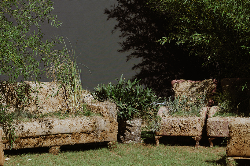 studio ma of moria architects redefines the garden 1