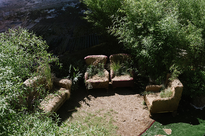 studio ma of moria architects redefines the garden 5