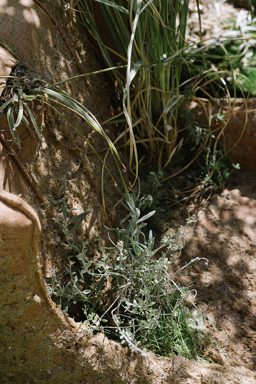 studio ma of moria architects redefines the garden 9