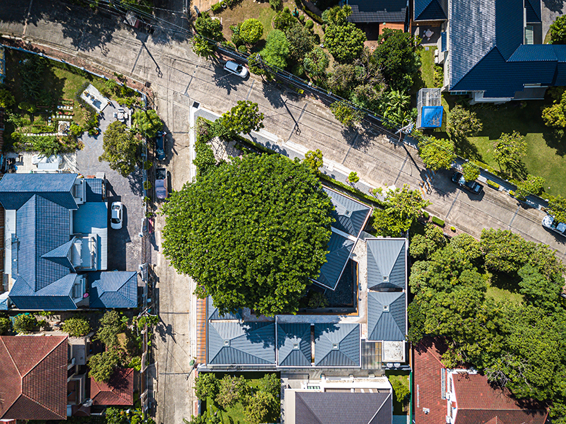 junsekino plans 'o-tree house' around a lush courtyard in thailand designboom