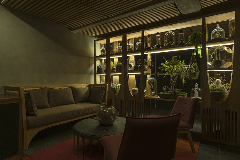 estudio atemporal xaman bar