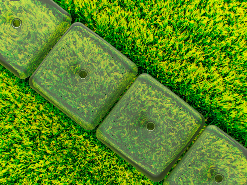 agrodome open field germinating system 11