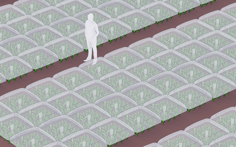 agrodome open field germinating system 2