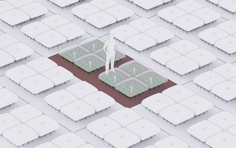 agrodome open field germinating system 6