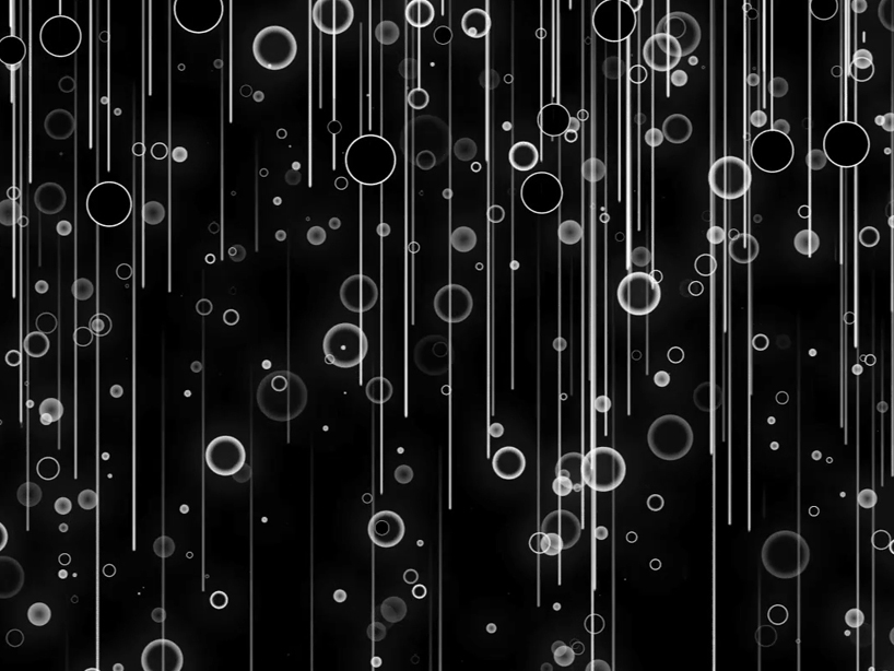 leigh sachwitz insideout