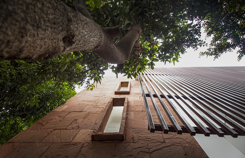 house with 49 trees by renesa architecture design interiors studio new delhi india 2