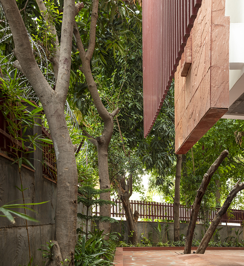 house with 49 trees by renesa architecture design interiors studio new delhi india 4