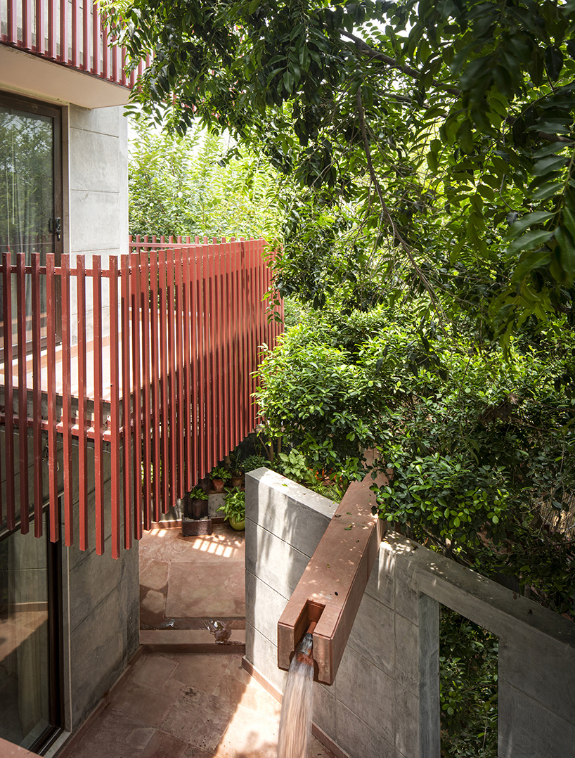 house with 49 trees by renesa architecture design interiors studio new delhi india 6
