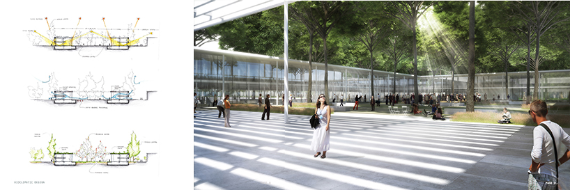 Georges Batzios Architects