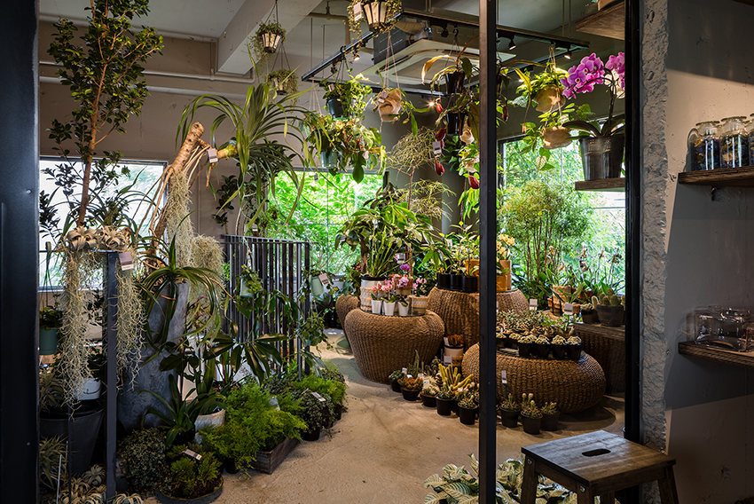 KIAS transforms residence into an exotic flower shop in tokyo