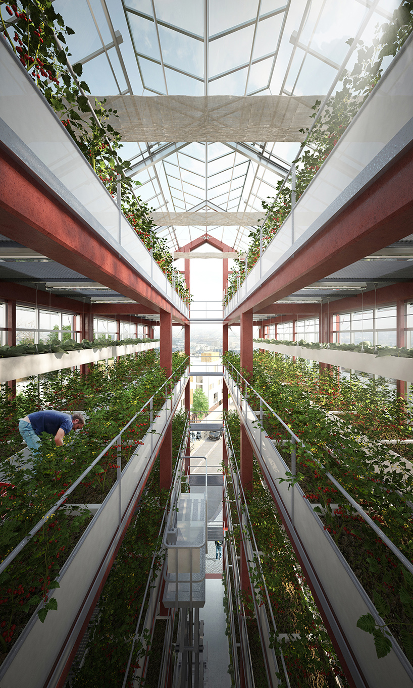 business model vertical farm