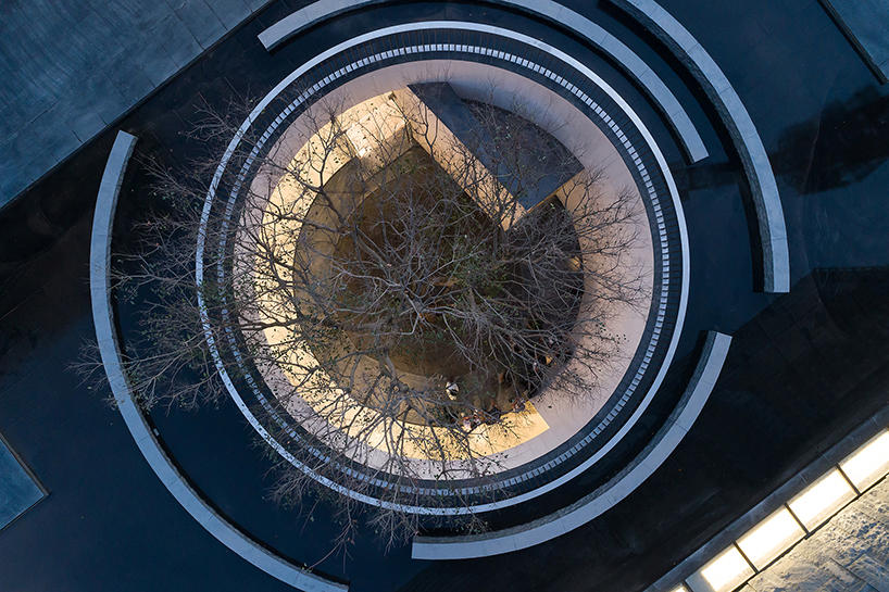 waterfrom design builds a tranquil teahouse around an old tree in china designboom