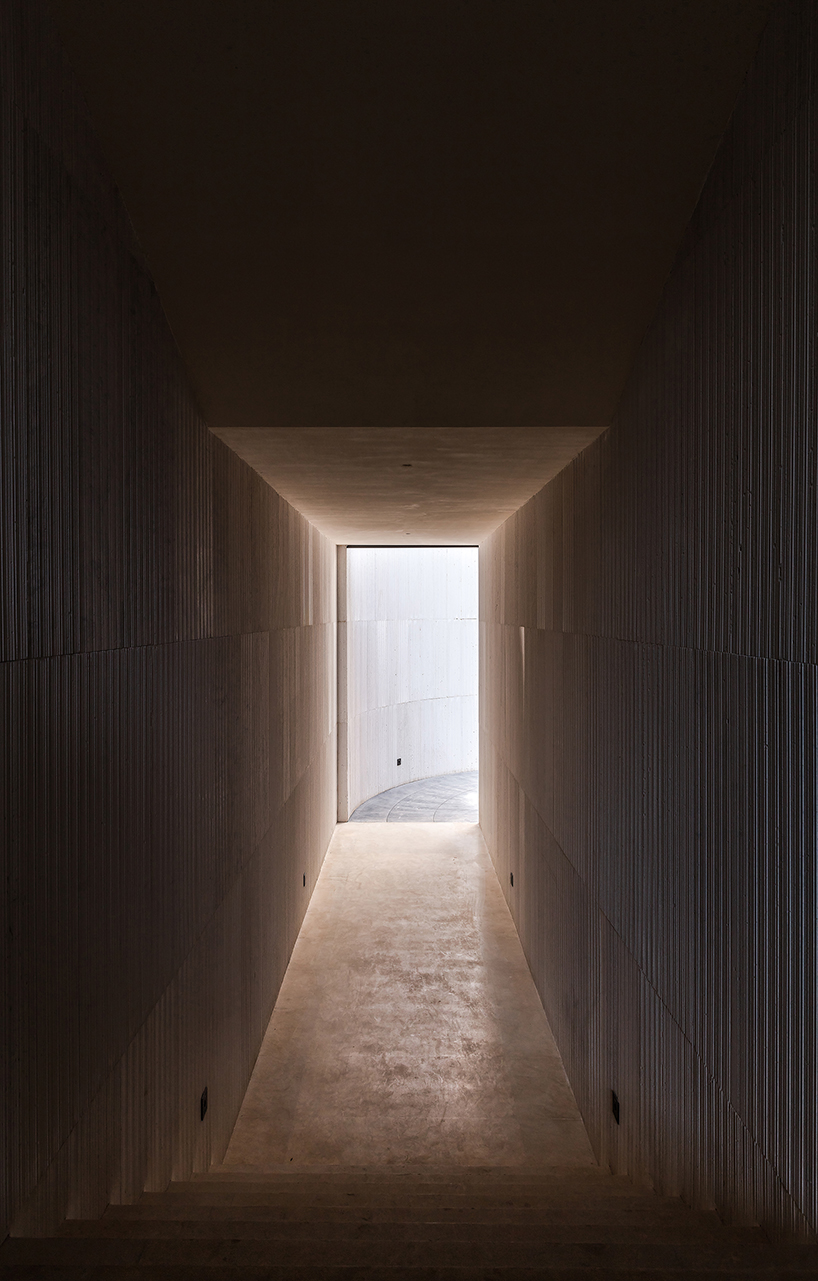 waterfrom design builds a tranquil teahouse around an old tree in china designboom