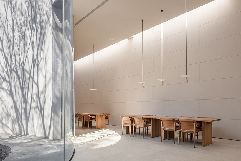 waterfrom design builds a tranquil teahouse around an old tree in china designboom