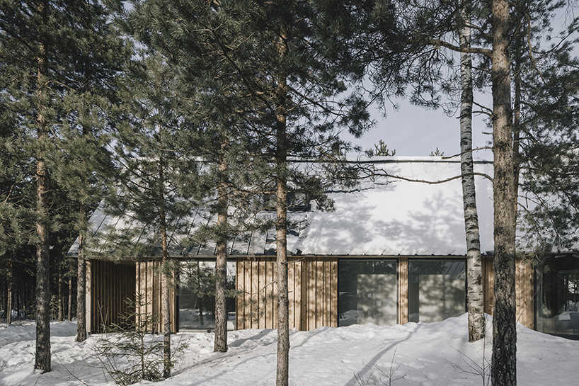 'bracket house' by AB CHVOYA celebrates the surrounding wooded landscape