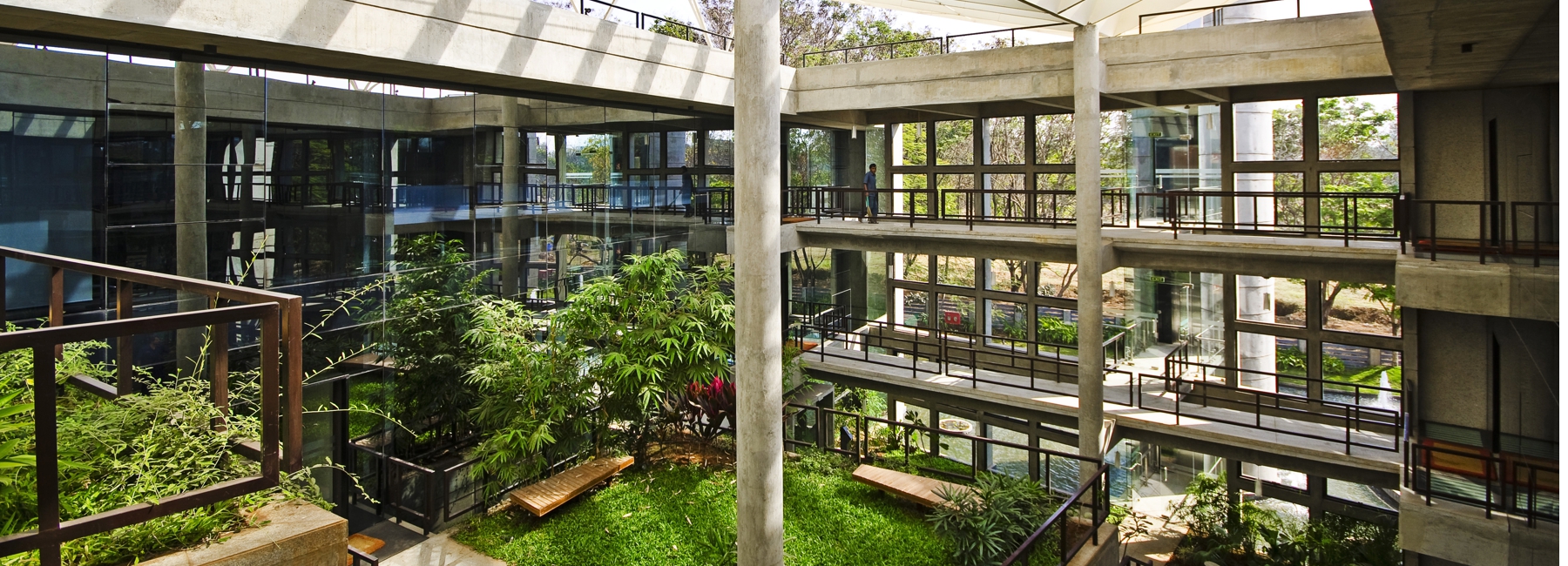 Core Architecture Plants A Tropical Garden On A Concrete