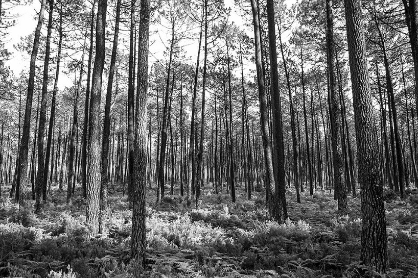 atelier bow wow didier faustino magical house maison de la culture du japon paris designboom