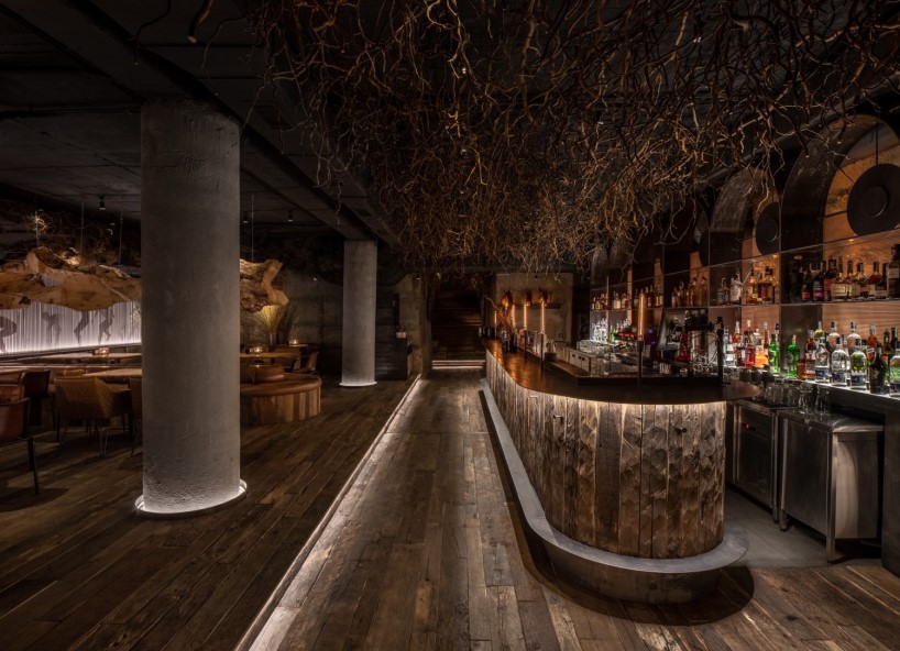 yod group designed a bar with roots on the ceiling that locates under the flower shop 3