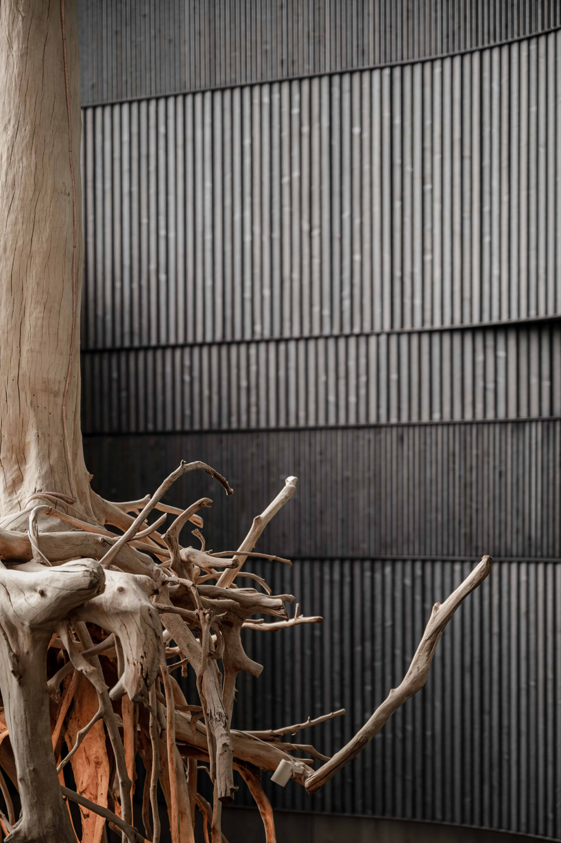 YOD group suspends sycamore tree installation to illuminate grand hotel atrium in ukraine