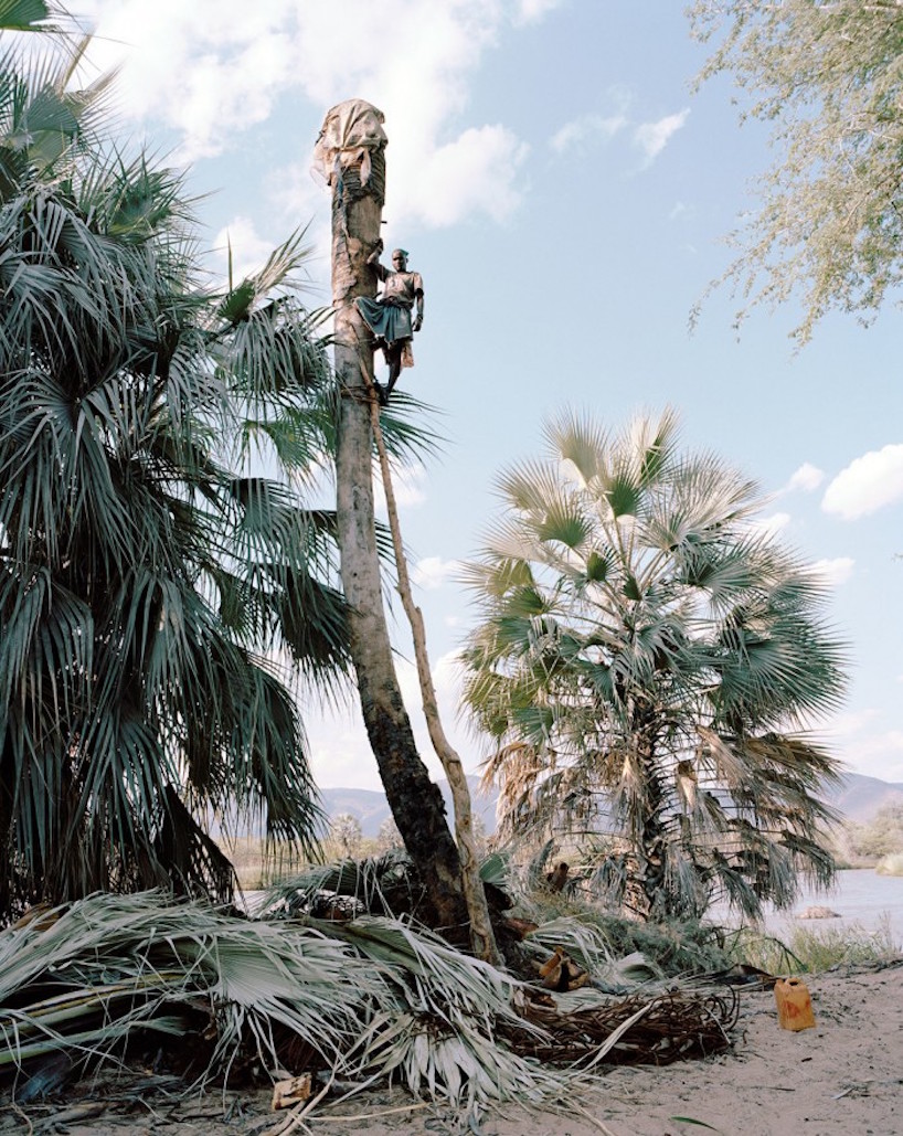 photographer kyle weeks palm wine collectors designboom